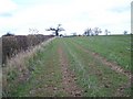 Footpath To Blymhill Lawns