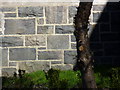 Benchmark on Bodlondeb Lodge (Bangor Road), Conwy