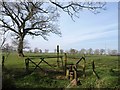 Plymtree Footpath 7