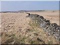 SD8427 : Dry Stone Walls by Robert Wade
