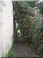 Footpath - Roker Lane