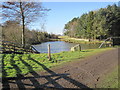 Pond near Byerley Stud