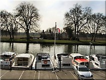 SU9876 : Boats on River Thames at Datchet by Paul Gillett