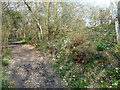 Footpath north of New Barn Farm