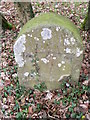 Milestone, Belmore Copse