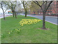 Ring Road Flowers