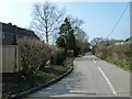 Looking from The Orchard along the lane to Leigh