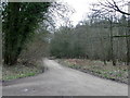 Bridleway near Chisbury