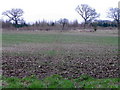 Footpath near Ramsbury