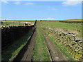 Track beside Stone Head Farm