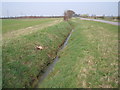 Drainage ditch near Brind Leys Farm