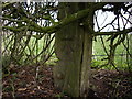 Cut Mark: Wooden Gatepost, Hatton