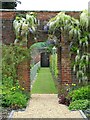 More wisteria at Glansevern