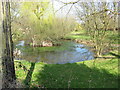 Ornamental pond