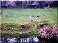 Heron View