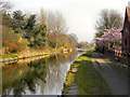 Bridgewater Canal