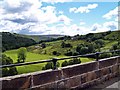 View From Lambley Viaduct