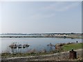 Cliffe South Quarry, also known as Buckland Lake Reserve (2)