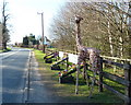 Oakwood Nurseries, Chelford Road, Cheshire