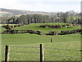 A Rath (Ringfort) viewed from the Drumlee Road