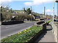 The A25 at the bridge over the Muddock River