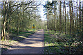 TL1369 : Footpath through woodland by Simon Judd