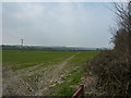 SK4661 : Clear footpath through arable farmland field by Peter Barr
