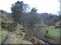 Footpath alongside the River Dove