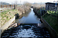 Monitoring weir on the River Frome