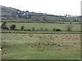 View south-west across the Muddock flood plain