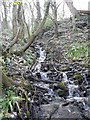 Stream tumbling down the hillside into the Taff, Gwaelod-y-garth