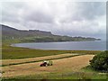 Harvesting On The Edge Of The Bay