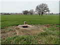 Irrigation manhole on the edge of the field