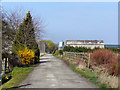 Moss Road, Approaching Annabel