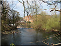 The Derwent near Darley Abbey Mills