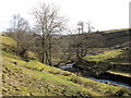 The River West Allen above Wolf Cleugh (2)