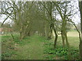 Green Path to Pineham Bottom Farm