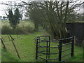 Kissing gate near Pineham Bottom Farm