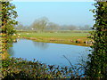 Cromer Pit Pond, Pendock