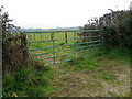 Gate near Alderholt