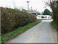 The road to the Somerford Keynes road, south of Poole Keynes