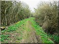 Footpath past Mallard Lake, Oaksey