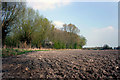 Field Edge Footpath