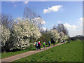 Cycleway Walk