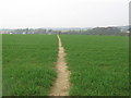 Footpath to Napchester