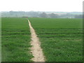 North Downs Way to Ashley