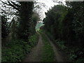 North Downs Way near Ashley