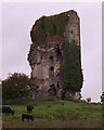 R4878 : Lissofin Castle by Roger Diel
