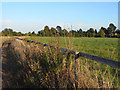 Footpath and pasture, Mapledurham