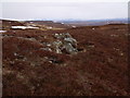 NN6369 : Little rock outcrop on the low ridge to the north of Loch Meall na Leitreach by ian shiell